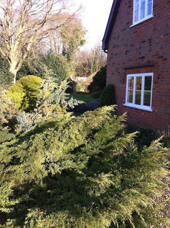 Thatched Farm Bed And Breakfast Woodbridge Exterior foto